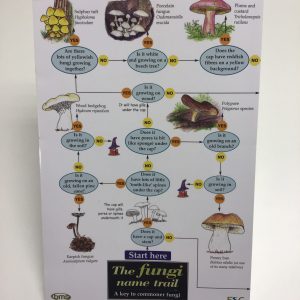 Fungi Name Trail