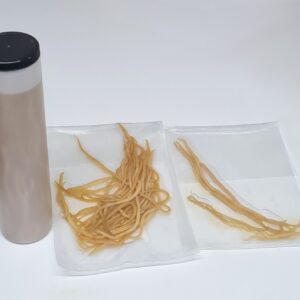 Pig Round Worms, Preserved