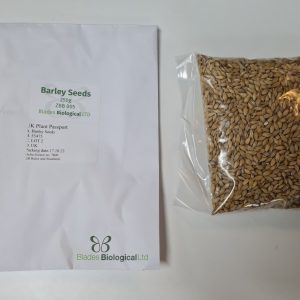 Barley Seeds (ZBB 005)