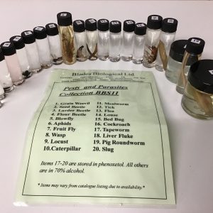 Pests & Parasites Collection