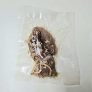 Cuttlefish, Preserved (PZF 025)