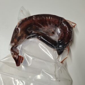 Dogfish, Frozen