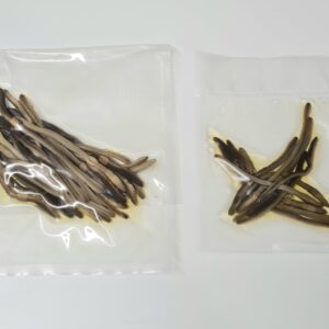 Earthworms, Preserved