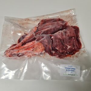Sheep Lungs and Trachea, Frozen