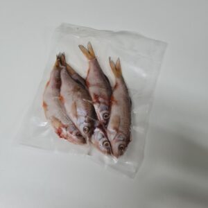 Bony Fish, Frozen