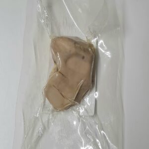 Kidney, Pig, Preserved (CBP 032)