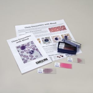 Close Encounters with Blood Slide Set