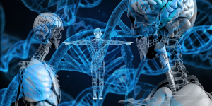 A picture showing human organs and DNA