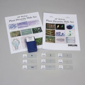 Plant Diversity Slide Set (CBS 121)