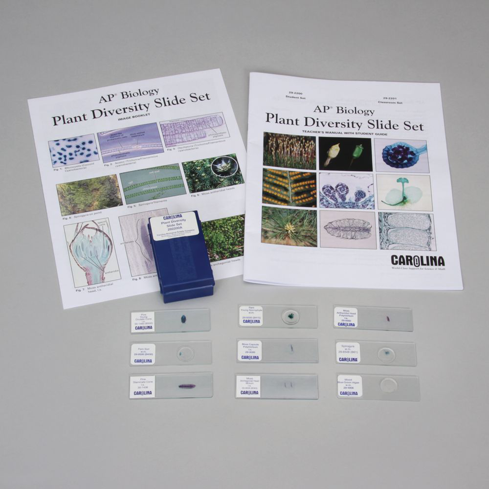 Buying Prepared Microscope Slide Sets: What’s Worth Your Money in 2025 ...